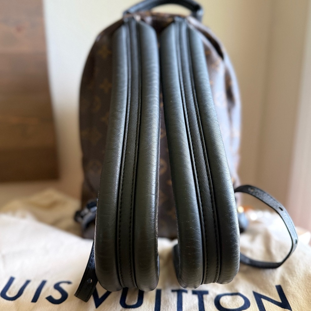 Louis Vuitton Palm Springs PM backpack - Picture 12 of 17